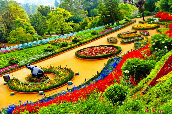botanical-Gardens-near-best-hotel-in-ooty