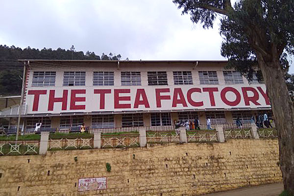 tea-museum