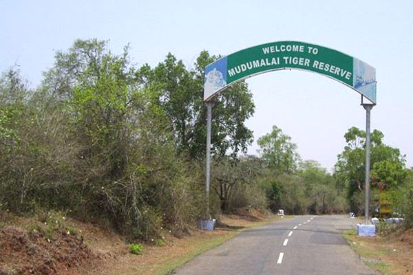 mudumalai-national-park