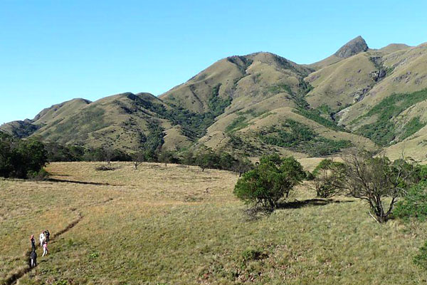 mukurthi-peak