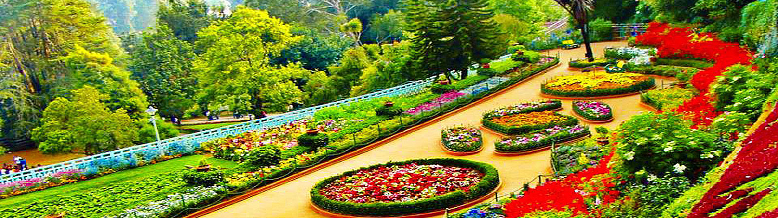 best hotel ooty